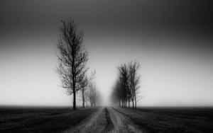 Serene Black And White Landscape Wallpaper