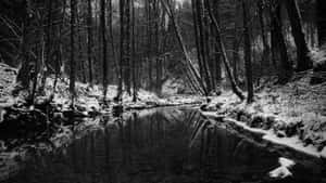 Serene Black And White Nature Landscape Wallpaper