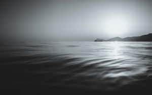 Serene Black And White Ocean Wallpaper