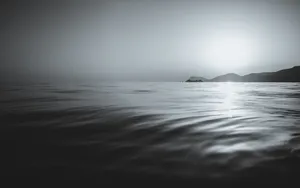 Serene Black And White Ocean Wallpaper