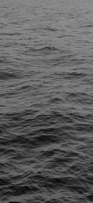 Serene Black And White Ocean Scene Wallpaper