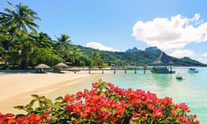 Serene Bora Bora Beach View Wallpaper