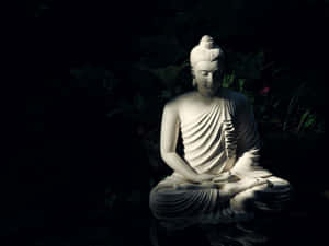 Serene Buddha Statue Meditation Wallpaper