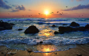 Serene Coastal Sunset Wallpaper