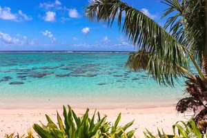 Serene Coconut Beach Resort Wallpaper