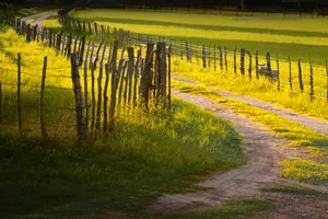 Serene Dawn In Rural Landscape Wallpaper