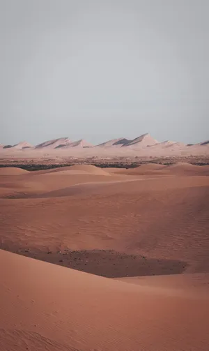 Serene_ Desert_ Dunes_at_ Twilight Wallpaper