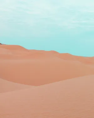 Serene Desert Dunes Skyline Wallpaper