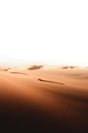 Serene Desert Dunes Sunset Wallpaper