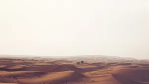 Serene Desert Solitude.jpg Wallpaper