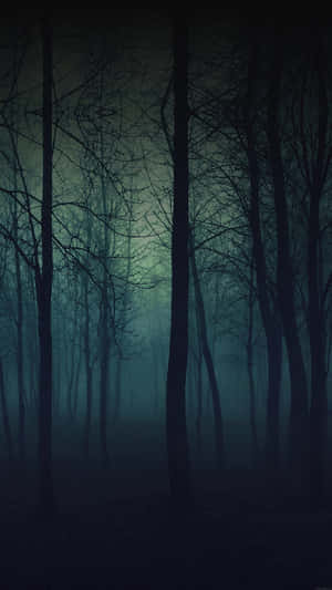 Serene Eerie Forest Phone Wallpaper