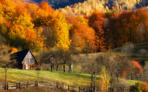 Serene Fall Country Landscape Wallpaper