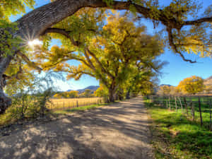 Serene Fall Country Landscape Wallpaper