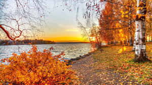 Serene Fall Lake Scenery Wallpaper