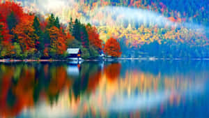 Serene Fall Lake Scenery Wallpaper