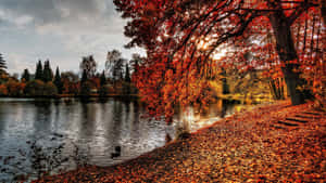 Serene Fall Lake Scenery Wallpaper