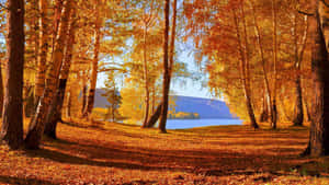 Serene Fall Lake Scenery Wallpaper