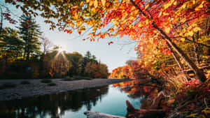 Serene Fall Lake Scenery Wallpaper