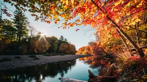 Serene Fall Lake Scenery Wallpaper