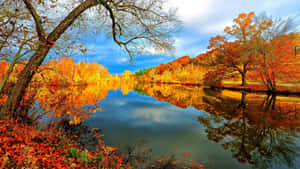 Serene Fall Lake Scenery Wallpaper