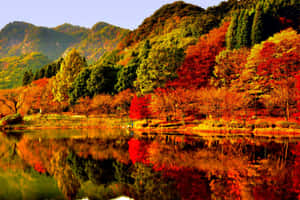 Serene Fall Lake Scenery Wallpaper