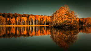 Serene Fall Lake Scenery Wallpaper