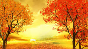 Serene Fall Sunset Landscape Wallpaper