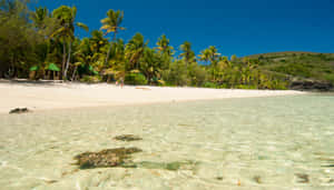 Serene Fiji Beach At Sunset Wallpaper