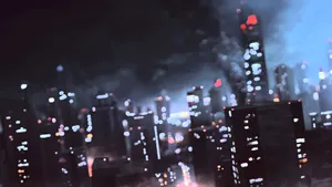 Serene Forest Ambience Wallpaper