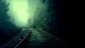 Serene Forest Ambience With Sunrays Wallpaper