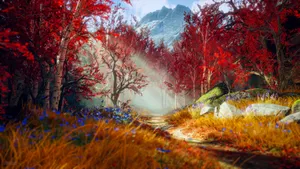 Serene Forest In God Of War Wallpaper