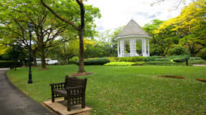 Serene_ Gazebo_ Singapore_ Botanic_ Gardens Wallpaper