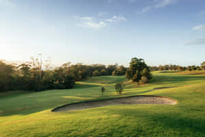 Serene Golf Green On A Sunny Day Wallpaper