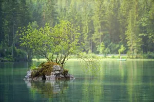 Serene Green Lake Of Salbruch Wallpaper
