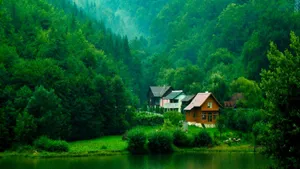 Serene Green Landscape Wallpaper