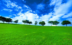 Serene Green Landscape With A Crystal Blue River Wallpaper