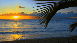 Serene Hawaiian Beach At Sunset Wallpaper