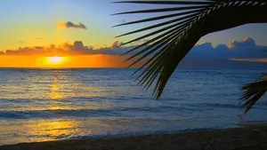 Serene Hawaiian Beach At Sunset Wallpaper