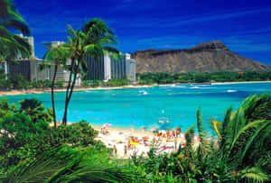 Serene Hawaiian Beach Escape Wallpaper