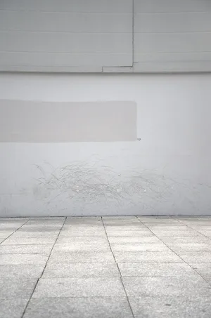 Serene Isolation Wallpaper