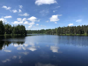 Serene Lake Reflections Wallpaper