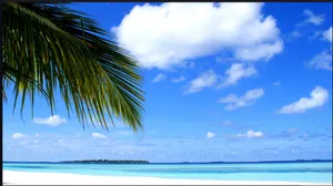 Serene Maldives Beach At Sunset Wallpaper