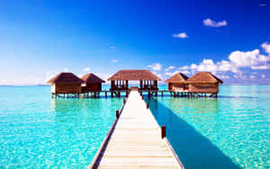 Serene Maldives Beach Scenery Wallpaper