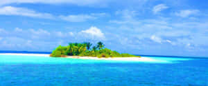 Serene Maldives Island Paradise Wallpaper