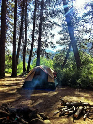 Serene Minimalist Camping Under The Stars Wallpaper