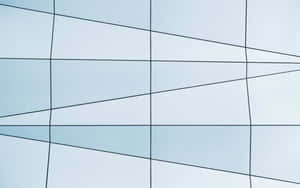 Serene Minimalist Forest Wallpaper