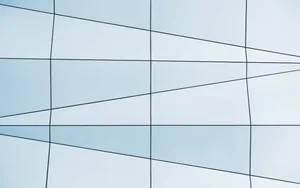 Serene Minimalist Forest Wallpaper