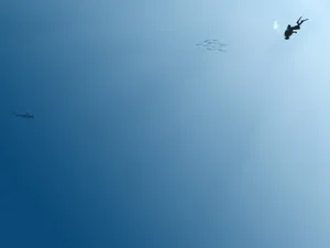 Serene Minimalist Ocean Wallpaper