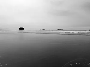 Serene Monochrome Beach Escape Wallpaper