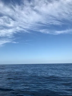 Serene Oceanand Sky Wallpaper